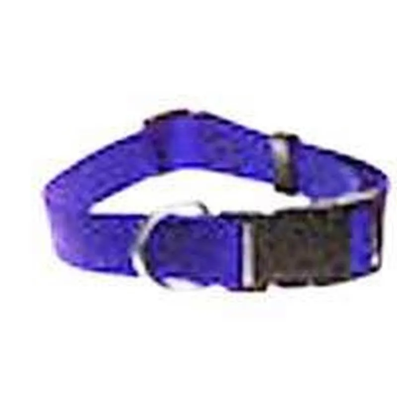 1in Nylon Blue Adj Collar