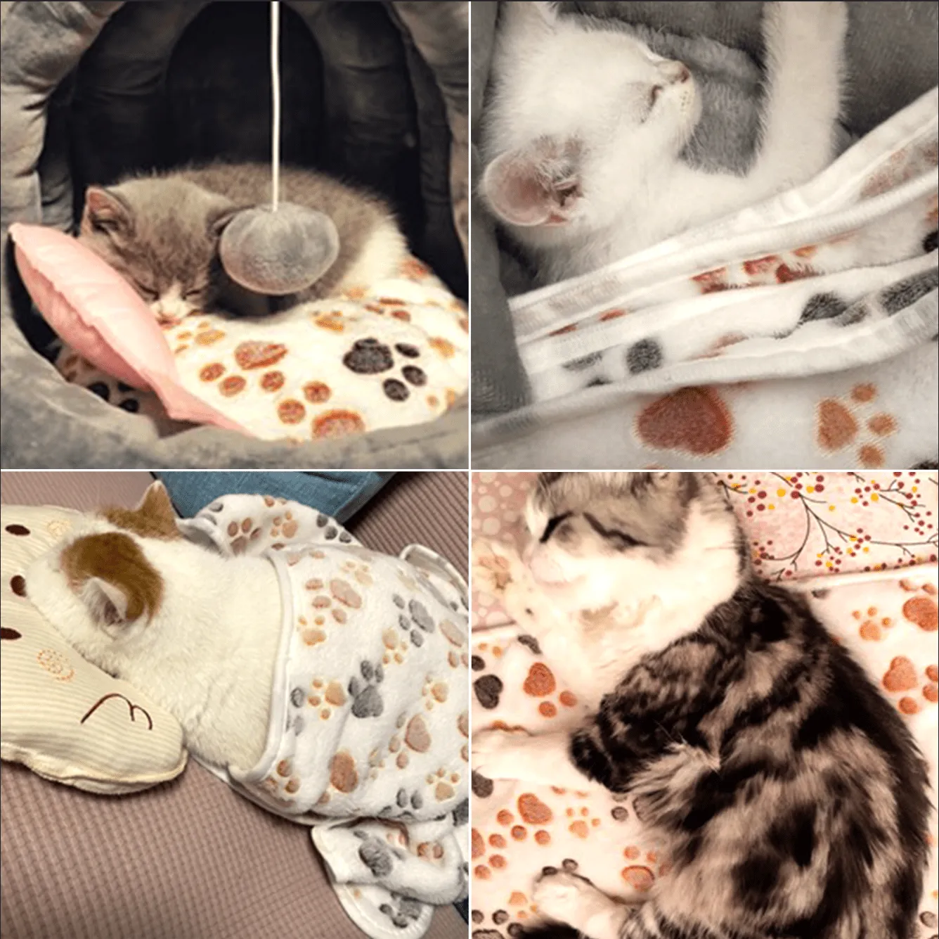 3 Pack Cat Dog Bunny Blanket Soft Pet Bed Cushion Warm Sleep Mat