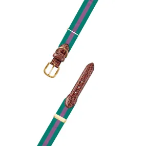 Adjustable Green & Purple Grosgrain Dog Collar with Embossed Calf Tabs