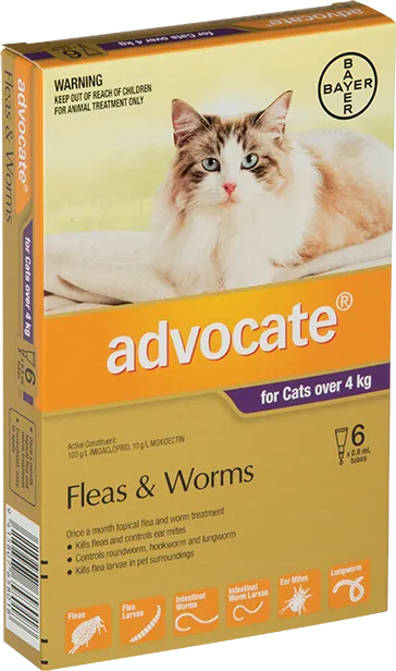 Advocate For Large Cats 4KG  6 Pack