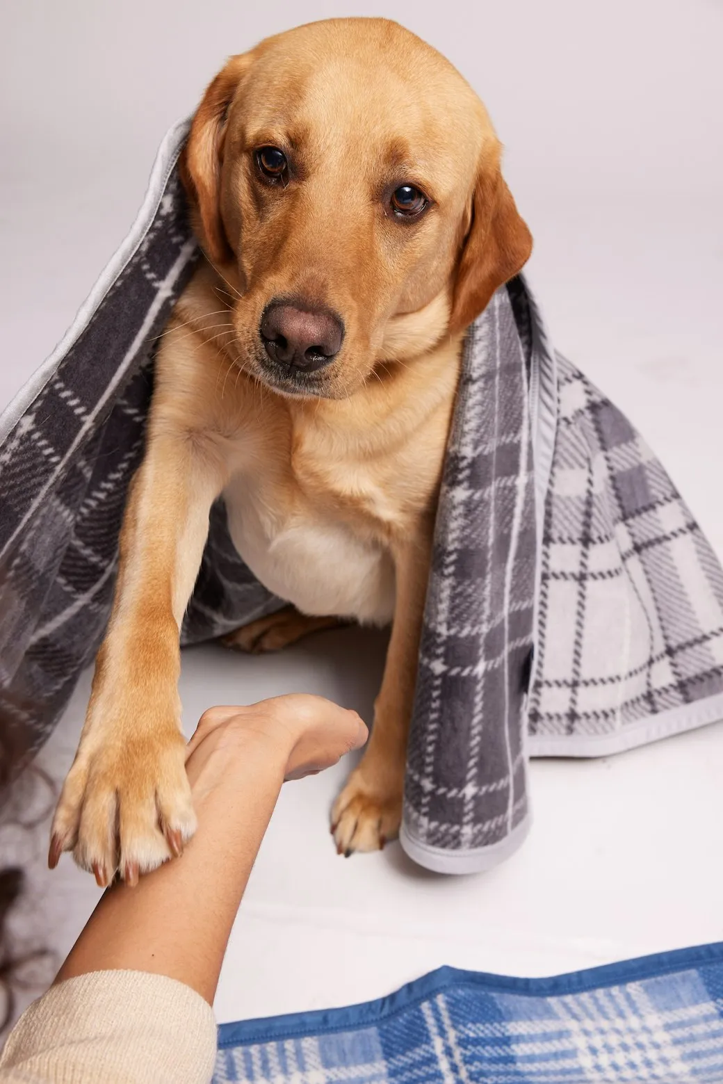 Andover Plaid Midi Blanket