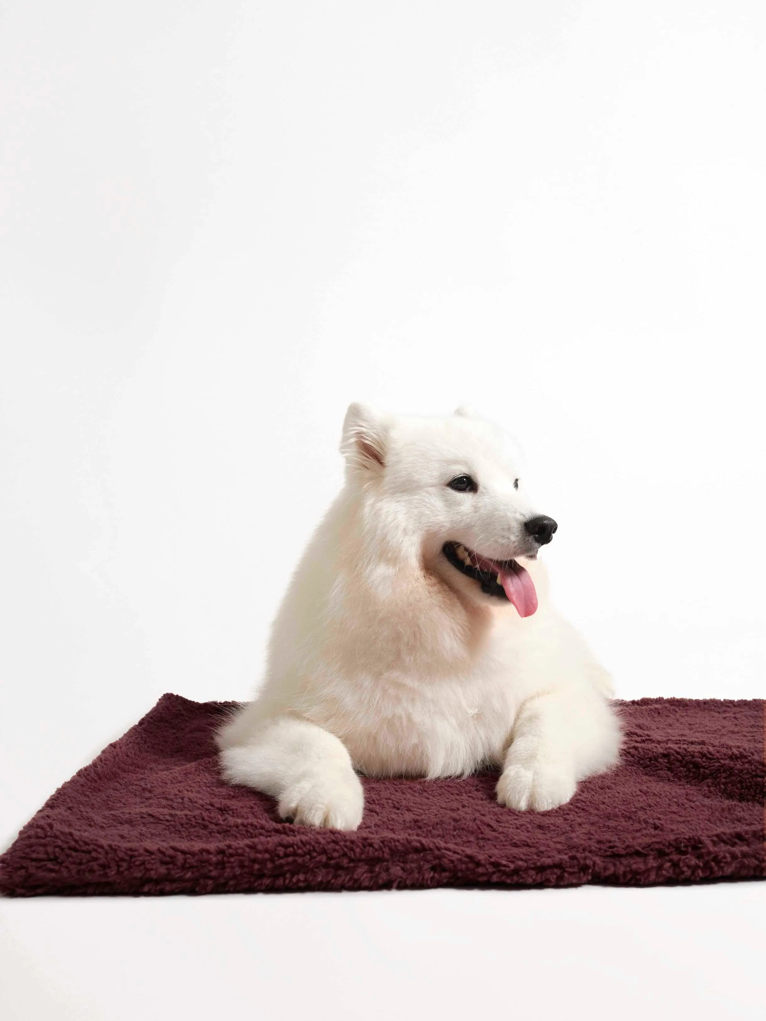 Faux Fur Pet Blanket - Cherry