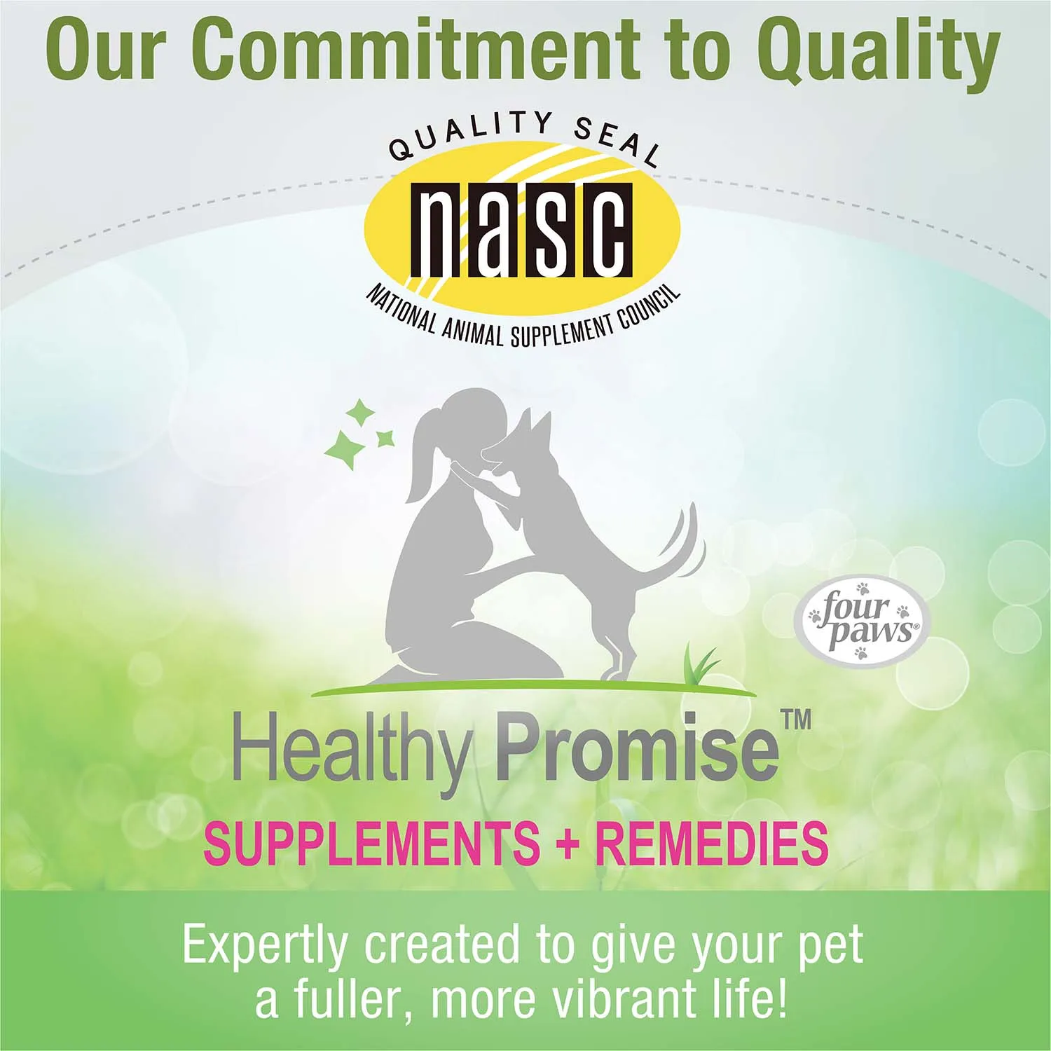 Healthy Promise Brewers Yeast Chews for Dogs, 250 ct