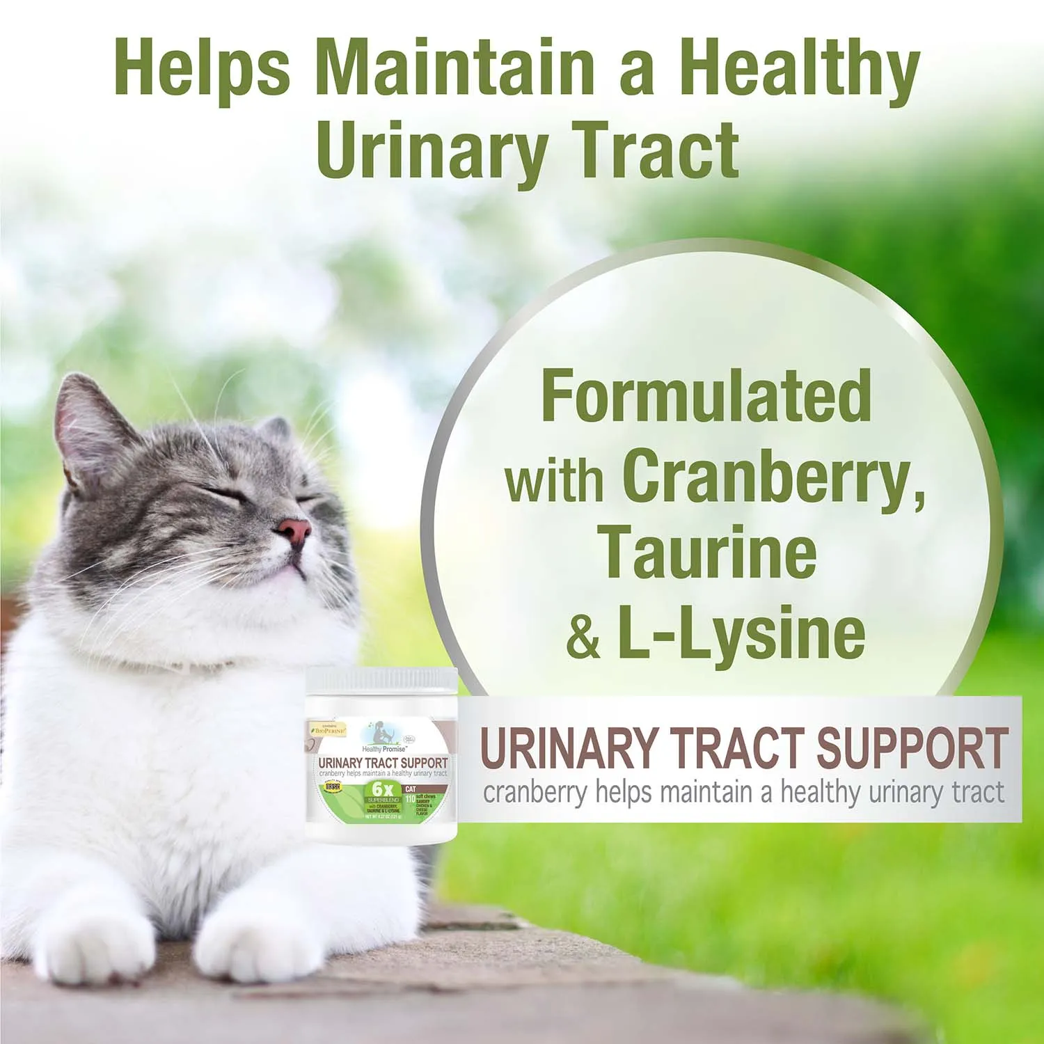 Healthy Promise Cat Urinary Tract Soft Chews, Chicken & Cheese, 110 ct