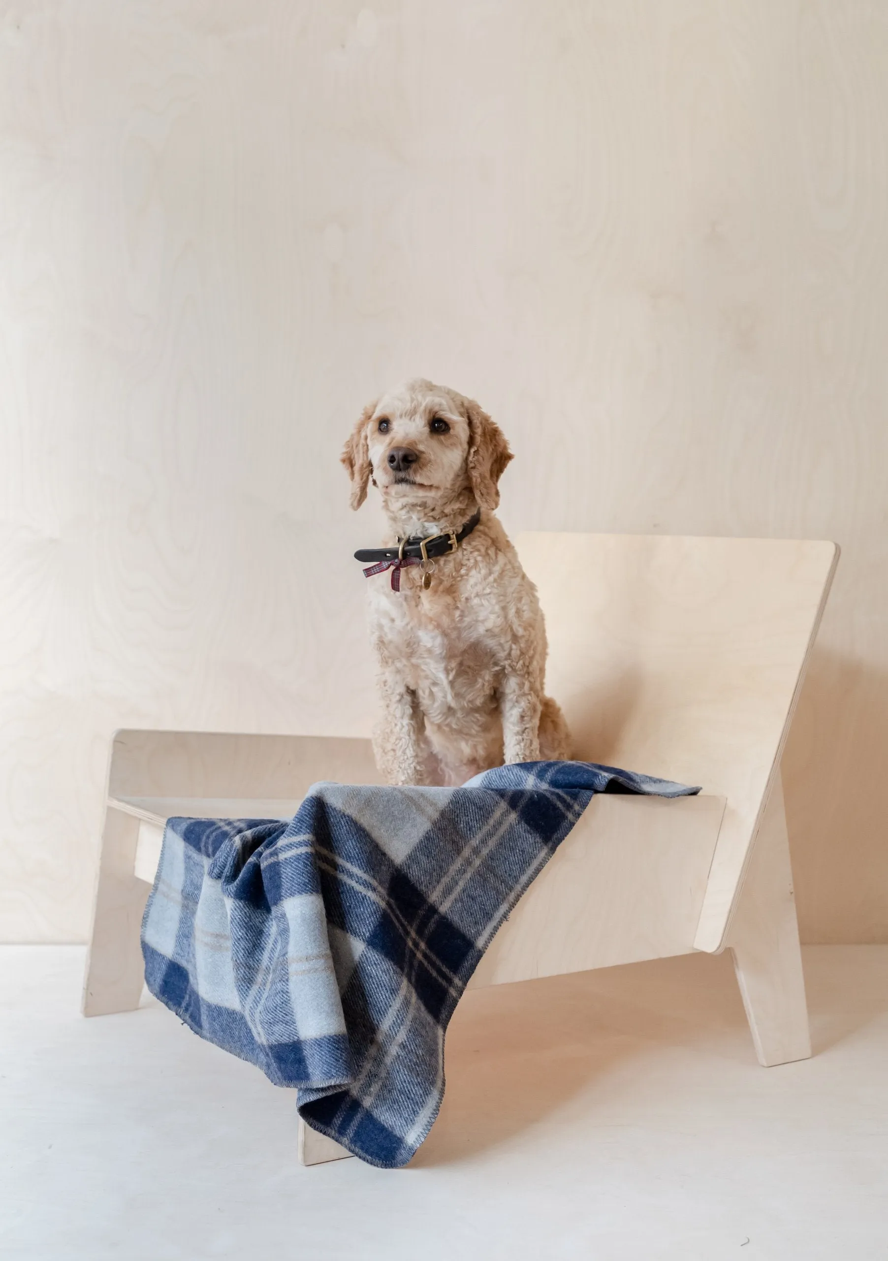 Recycled Wool Small Pet Blanket in Bannockbane Silver Tartan