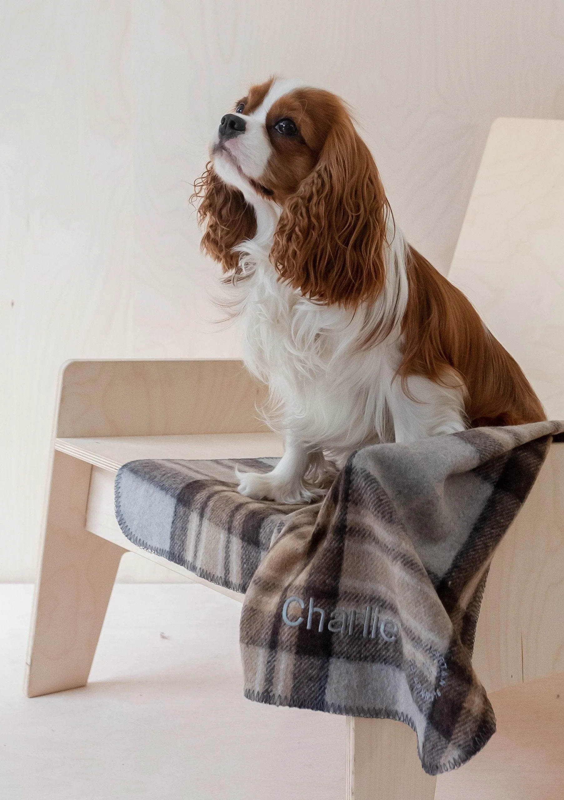 Recycled Wool Small Pet Blanket in Mackellar Tartan