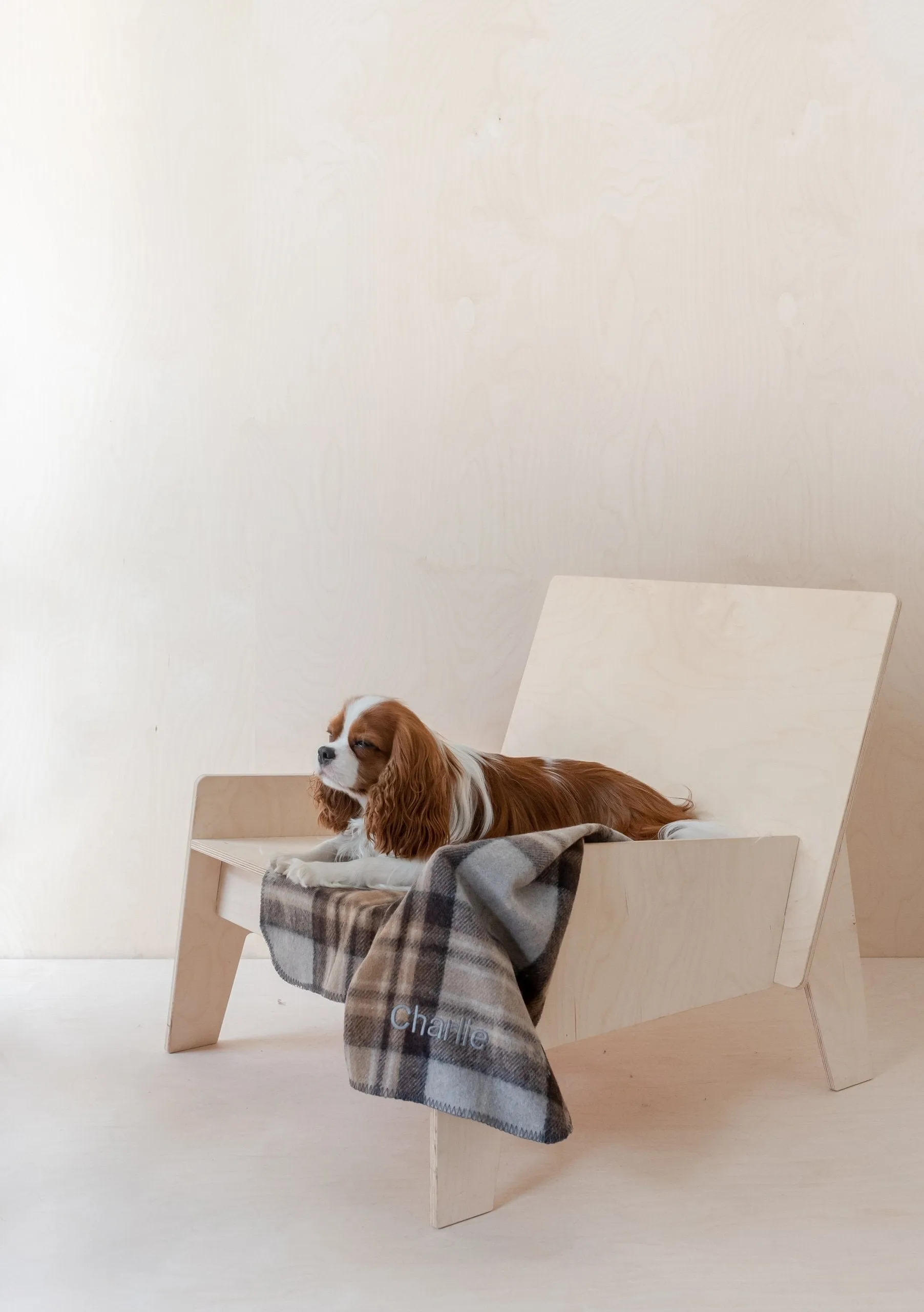 Recycled Wool Small Pet Blanket in Mackellar Tartan