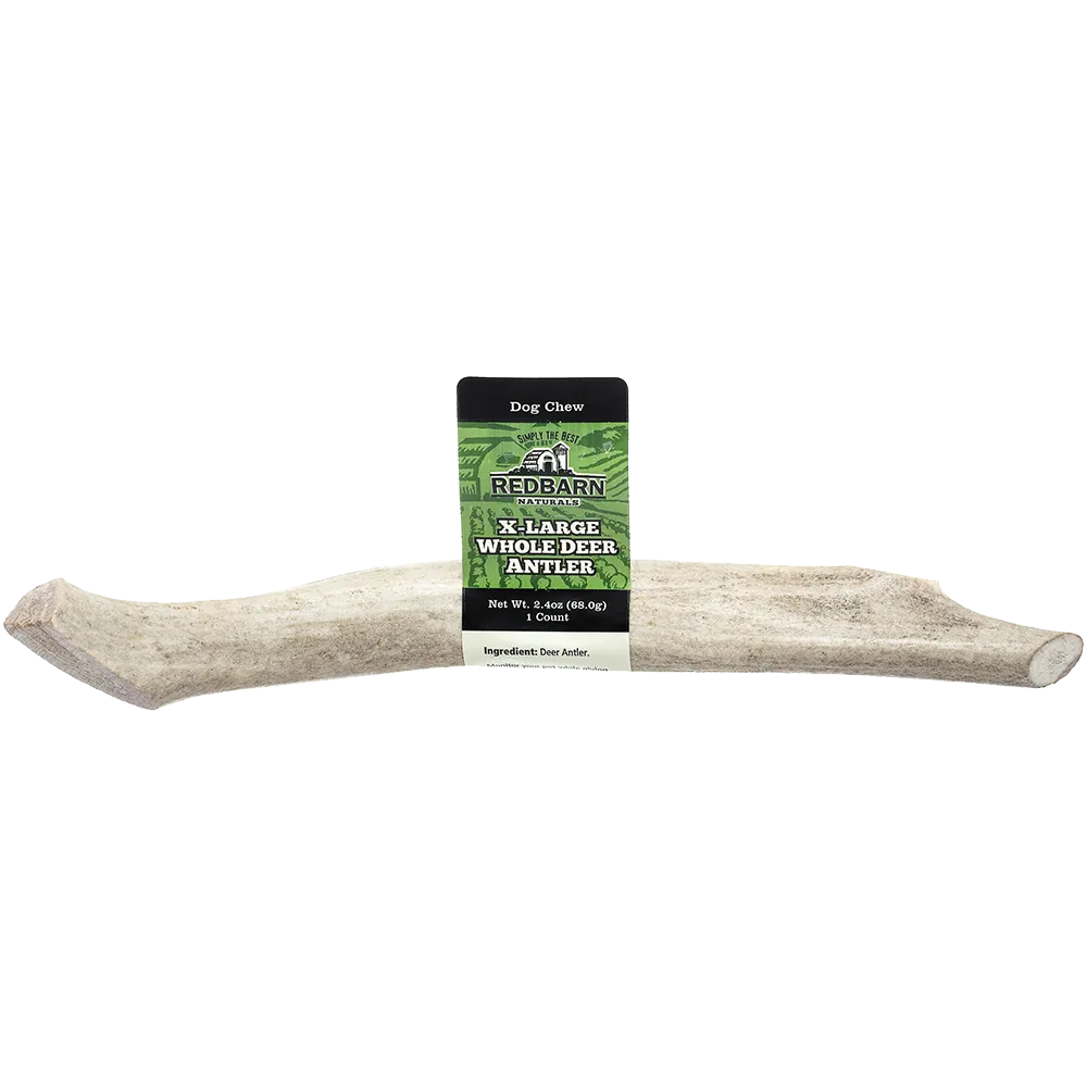 Redbarn Whole Deer Antler