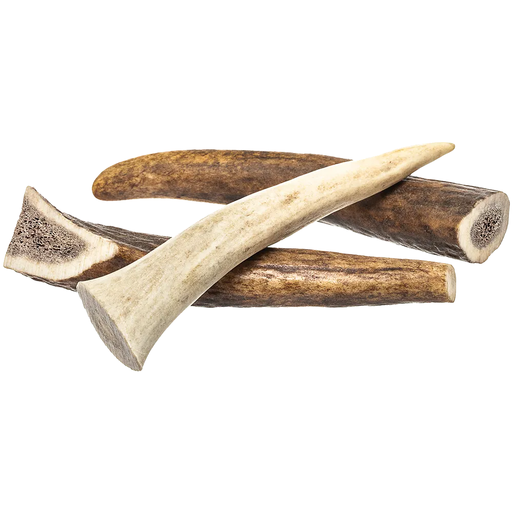 Redbarn Whole Deer Antler