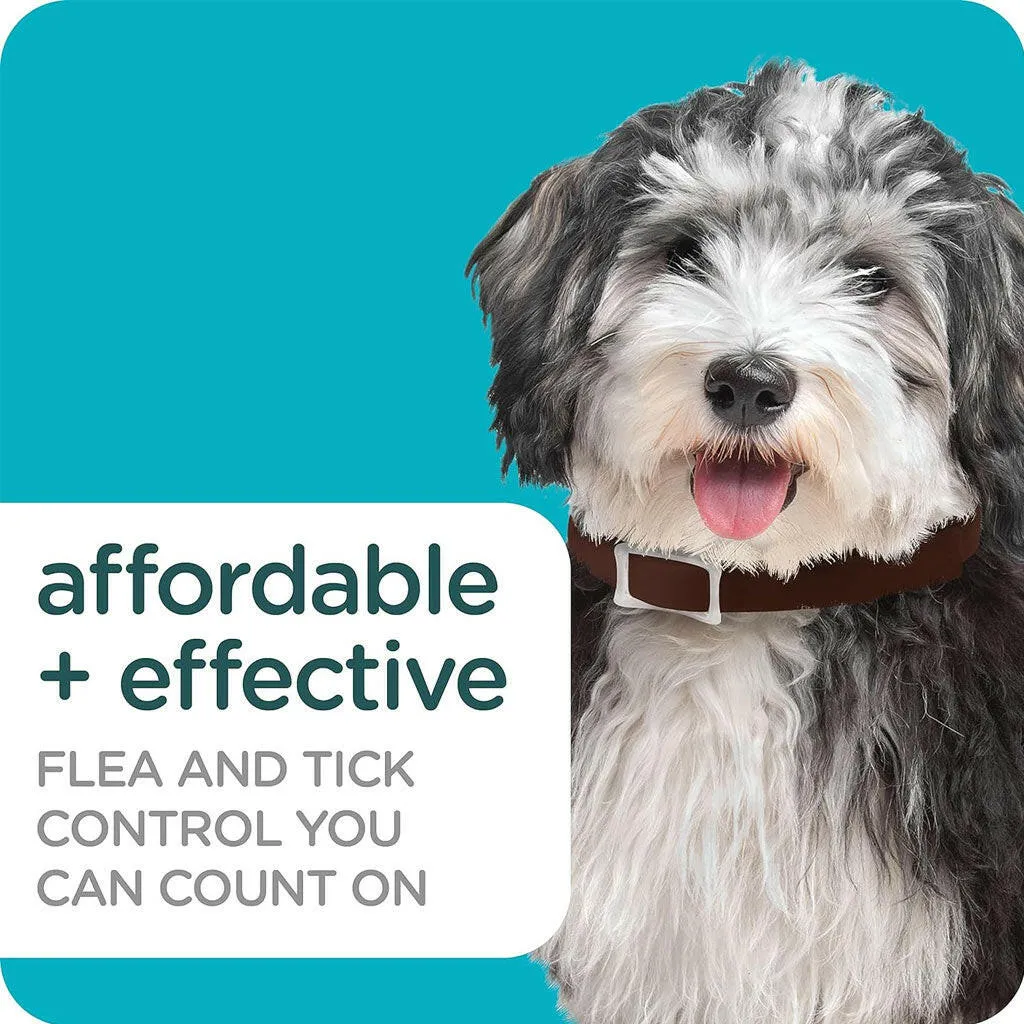 Sergeant's Guardian Pro Flea & Tick Collar for Dogs, Fresh Scent, 1 Count