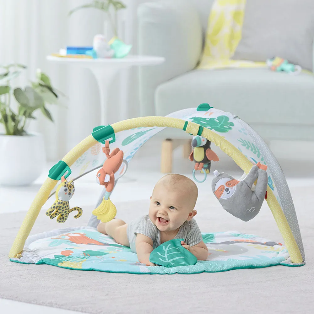 Skip Hop Tropical Paradise Activity Gym & Soother