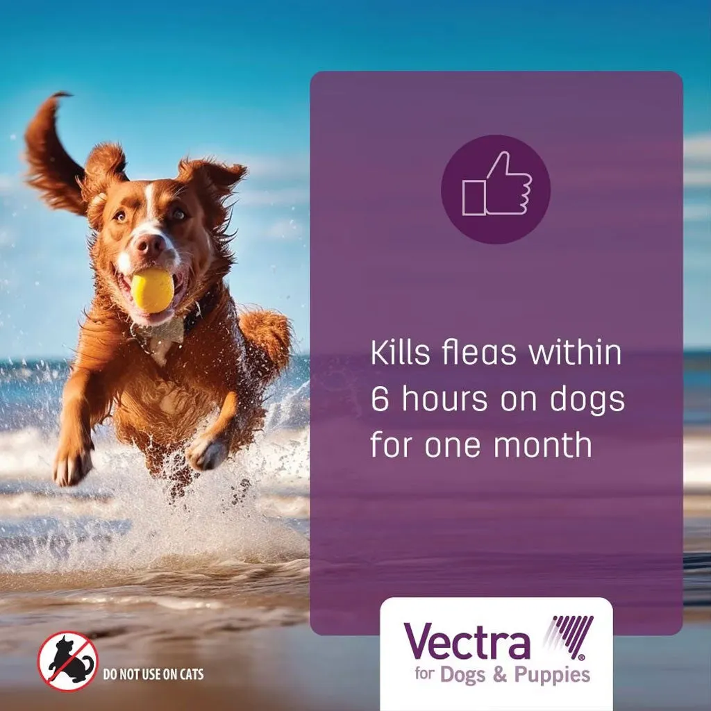 Vectra Flea and Tick Spot Treatment for Medium Dogs & Puppies, 21-55 lbs